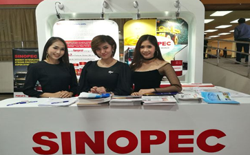泰国物流协会人员专门到SINOPEC展位观摩